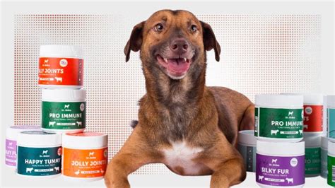 is dr shiba fda approved|Dr. Shiba's High.